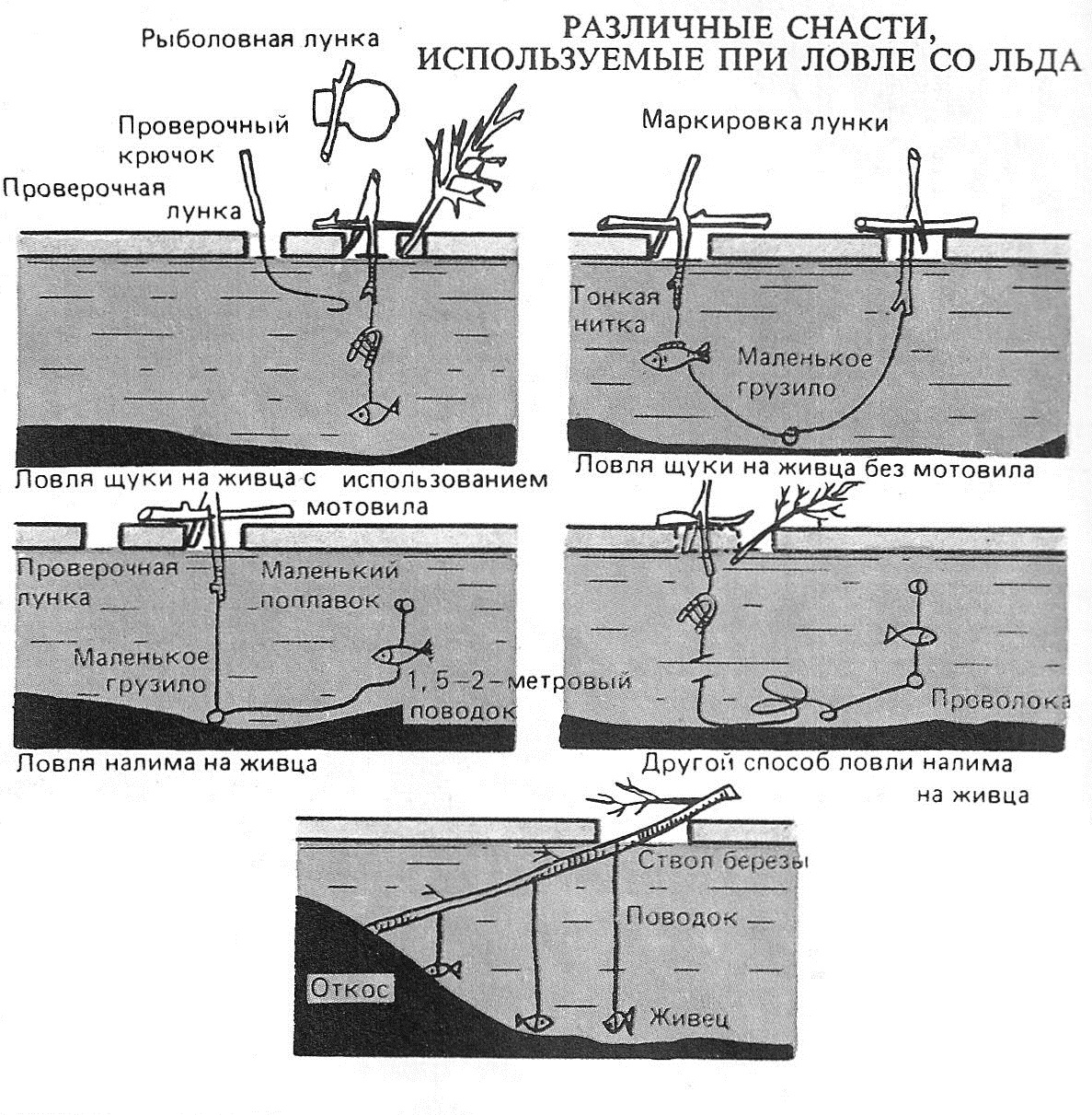 Жерлицы Жерлицы